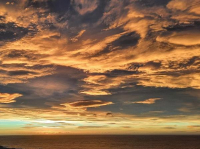 Vivid Air, Bicheno